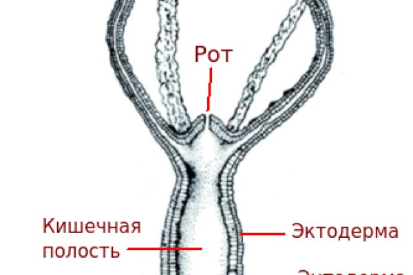 Омг онион тор