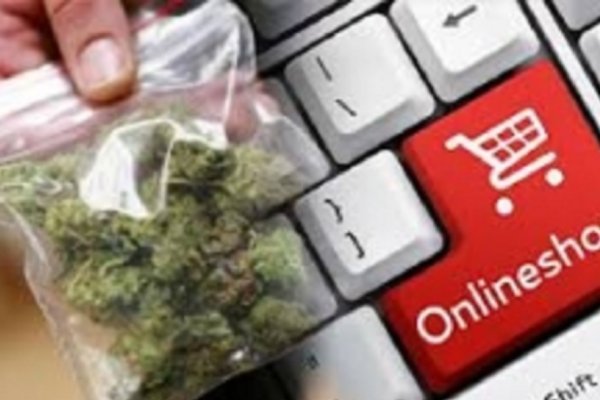 Darknet online