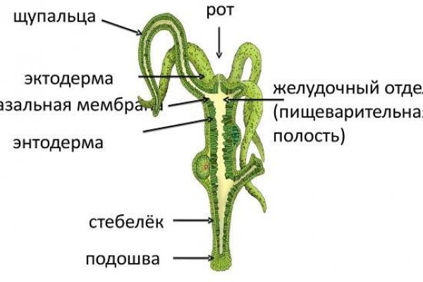 Биткоин банк блэкспрут